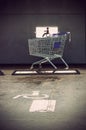 The supermarket cart Royalty Free Stock Photo