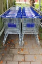 Supermarket carts of the Aldi discount store, Netherlands