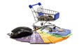 Supermarket carts and komputer mouse on isolated