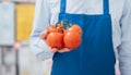 Supermarket clerk holding tomatoes Royalty Free Stock Photo