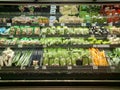 Supermarket Fresh organic Vegetables on shelf in supermarket.Healthy food concept. Vitamins and minerals. Royalty Free Stock Photo