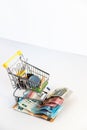 Supermarket shopping cart with essential goods and several euro banknotes on a white background.