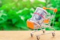 Supermarket trolley on a green background. The concept of shopping online. Place market, commerce, Internet commerce. Ordering goo Royalty Free Stock Photo
