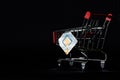 Supermarket trolley with RFID tag transponder. A concept for the use of wireless RFID technology in trade and surveillance of