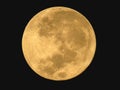Supermoon Royalty Free Stock Photo