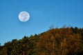 Supermoon Full moon in nature Royalty Free Stock Photo
