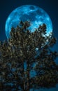 Supermoon. Landscape of sky and full moon with moonlight behind