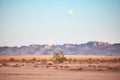 supermoon looming over a desert landscape