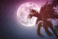 Supermoon with many stars. Beautiful night landscape of sky with full moon behind betel palm tree, outdoor in gloaming time. Royalty Free Stock Photo