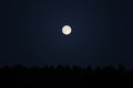 Supermoon over forest on dark night sky