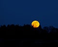 Supermoon rising Royalty Free Stock Photo