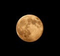 Supermoon Royalty Free Stock Photo