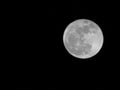 Supermoon 50x zoom Royalty Free Stock Photo