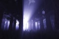 Supernatural Signs in Night Forest 3D render 1