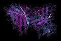 Superoxide dismutase 1 (SOD1) enzyme. Converts superoxide radical in hydrogen peroxide. Gene mutations cause ALS (amyotrophic Royalty Free Stock Photo