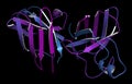 Superoxide dismutase 1 SOD1 enzyme. Converts superoxide radical in hydrogen peroxide. Gene mutations cause ALS amyotrophic. Royalty Free Stock Photo