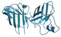 Superoxide dismutase 1 SOD1 enzyme. Converts superoxide radical in hydrogen peroxide. Gene mutations cause ALS amyotrophic. Royalty Free Stock Photo