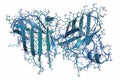 Superoxide dismutase 1 SOD1 enzyme. Converts superoxide radical in hydrogen peroxide. Gene mutations cause ALS amyotrophic. Royalty Free Stock Photo