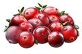 Superpositioned pile of cranberries, paths Royalty Free Stock Photo
