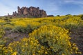 Superstition Mountain Spring