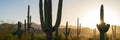 Superstition Mountains in Central Arizona, America, USA. Royalty Free Stock Photo