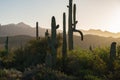 Superstition Mountains in Central Arizona, America, USA. Royalty Free Stock Photo