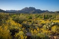 Superstition Mountains in Central Arizona, America, USA. Royalty Free Stock Photo