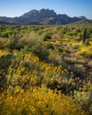 Superstition Mountains in Central Arizona, America, USA. Royalty Free Stock Photo