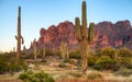 Superstition Mountains Royalty Free Stock Photo