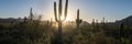 Superstition Mountains in Central Arizona, America, USA. Royalty Free Stock Photo