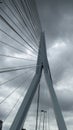 Superstructure of Erasmus Bridge in Rotterdam, the Netherlands