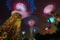 Supertree garden at night garden by the bay in Singapore Royalty Free Stock Photo