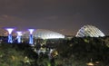 Supertree Grove, modern architecture Singapore