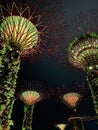 Supertree Grove at Garden By The Bay in the Night, light show Royalty Free Stock Photo