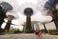 Supertree grove in garden by the bay