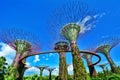 Supertree Grove, Gardens by the Bay, Singapore