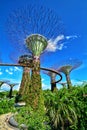 Supertree Grove, Gardens by the Bay, Singapore