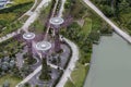 Supertree Grove at Gardens by the Bay in Singapore