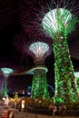 Supertree Grove at Gardens by the Bay in Singapore