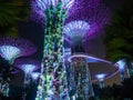 Supertree Grove at Gardens by the Bay urban nature park in Singapore