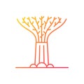 Supertree grove gradient linear vector icon