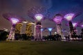 Amazing Supertree Grove With Beautiful Park at the Night.