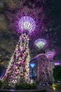 Amazing Supertree Grove With Beautiful Park at the Night.