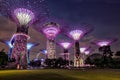 Amazing Supertree Grove With Beautiful Park at the Night.