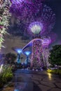 Amazing Supertree Grove With Beautiful Park at the Night.