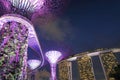 Supertree Grove and Marina Bay Sands Singapore