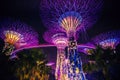 Singapore 2019-08-28 Supertree Grove - Neon Jungle!