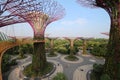 Supertree Grove in Singapore. Royalty Free Stock Photo