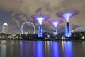 Supertree Grove and Singapore Flyer