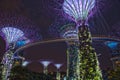 Supertree grove Singapore